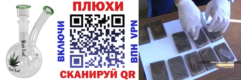 ГАШ Premium  Краснообск 