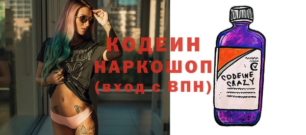 стаф Осинники