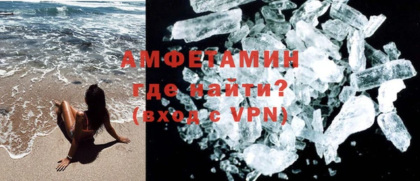 стаф Осинники