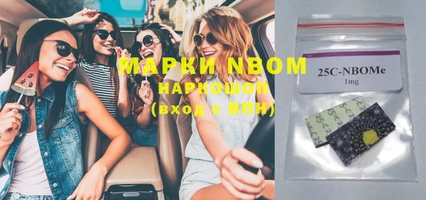стаф Осинники
