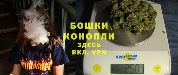 стаф Осинники