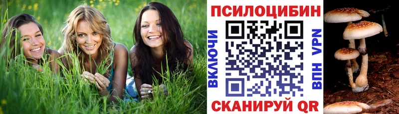 Галлюциногенные грибы мухоморы Краснообск