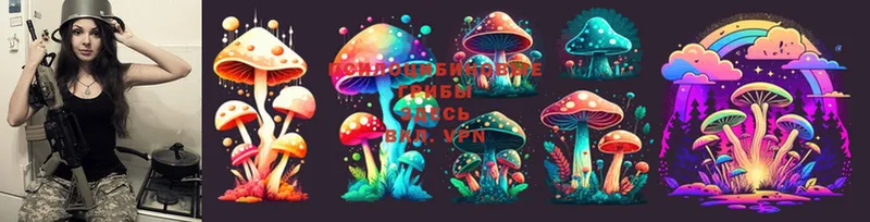 Псилоцибиновые грибы Psilocybe  маркетплейс официальный сайт  Краснообск  купить наркотик 