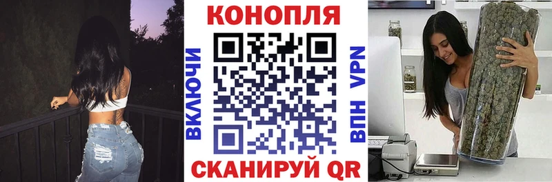 закладки  Краснообск  Бошки Шишки OG Kush 